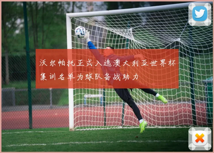 沃尔帕托正式入选澳大利亚世界杯集训名单为球队备战助力
