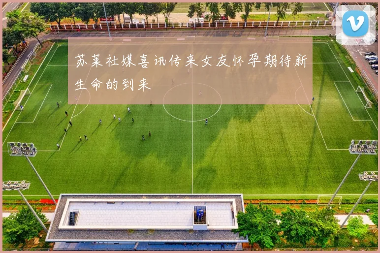 苏莱社媒喜讯传来女友怀孕期待新生命的到来