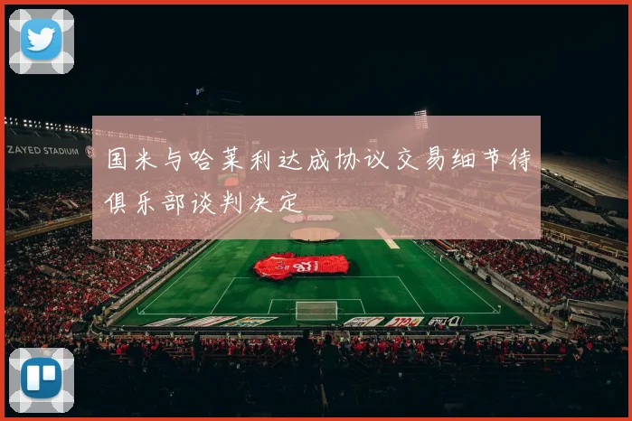 国米与哈莱利达成协议交易细节待俱乐部谈判决定